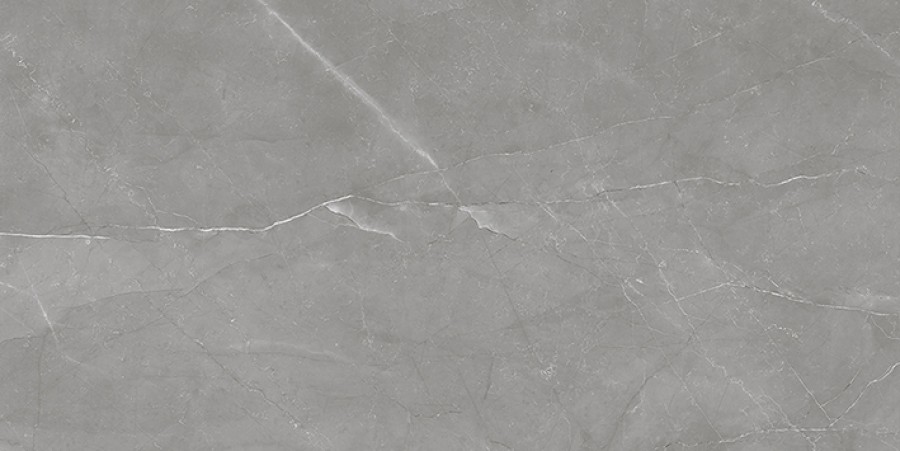Плитка Laparet 40x20 Савой настенная тёмно-серый 08-01-06-2460 глазурованная глянцевая Плитка Laparet 40x20 Савой настенная тёмно-серый 08-01-06-2460 глазурованная глянцевая