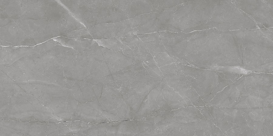 Плитка Laparet 40x20 Савой настенная тёмно-серый 08-01-06-2460 глазурованная глянцевая Плитка Laparet 40x20 Савой настенная тёмно-серый 08-01-06-2460 глазурованная глянцевая