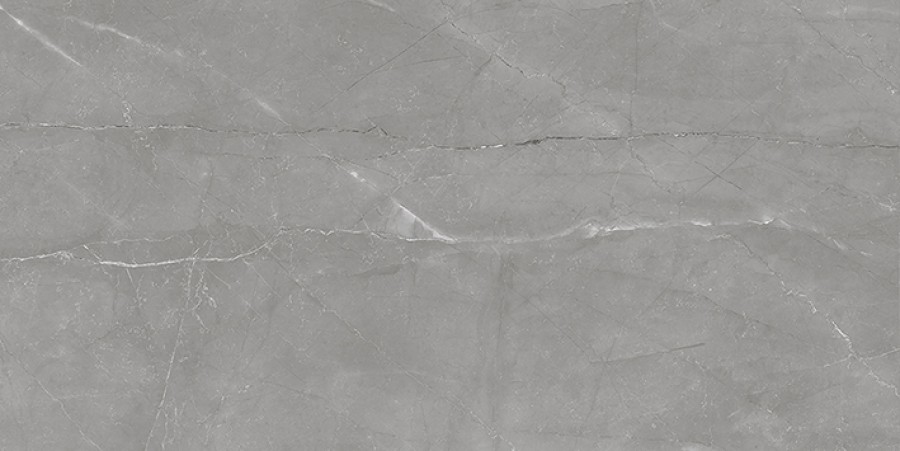 Плитка Laparet 40x20 Савой настенная тёмно-серый 08-01-06-2460 глазурованная глянцевая Плитка Laparet 40x20 Савой настенная тёмно-серый 08-01-06-2460 глазурованная глянцевая