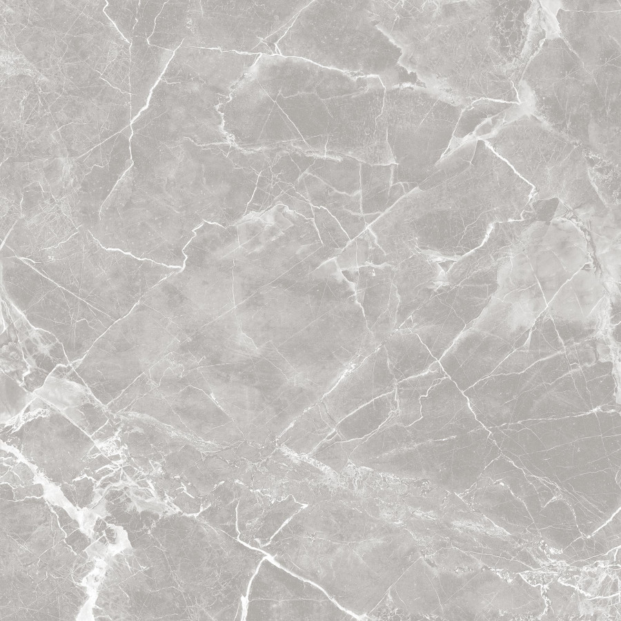 Керамогранит Global Tile 60x60 GT60601301MR-4 Solo матовая серый Керамогранит Global Tile 60x60 GT60601301MR-4 Solo матовая серый