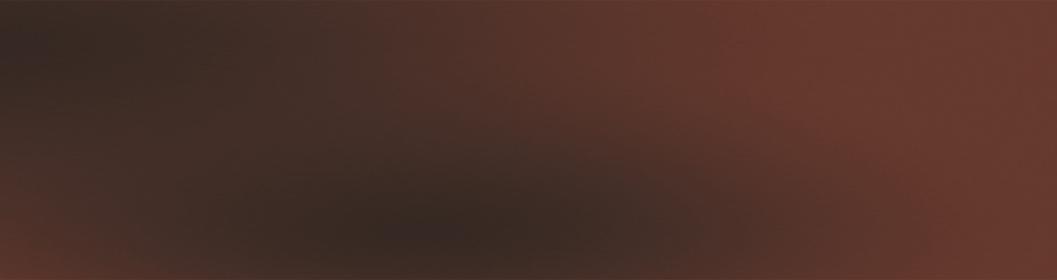 Плитка фасадная 25x7 7мм Клауд Роза 0.71 матовая Ceramika Paradyz Плитка фасадная 25x7 7мм Клауд Роза 0.71 матовая Ceramika Paradyz