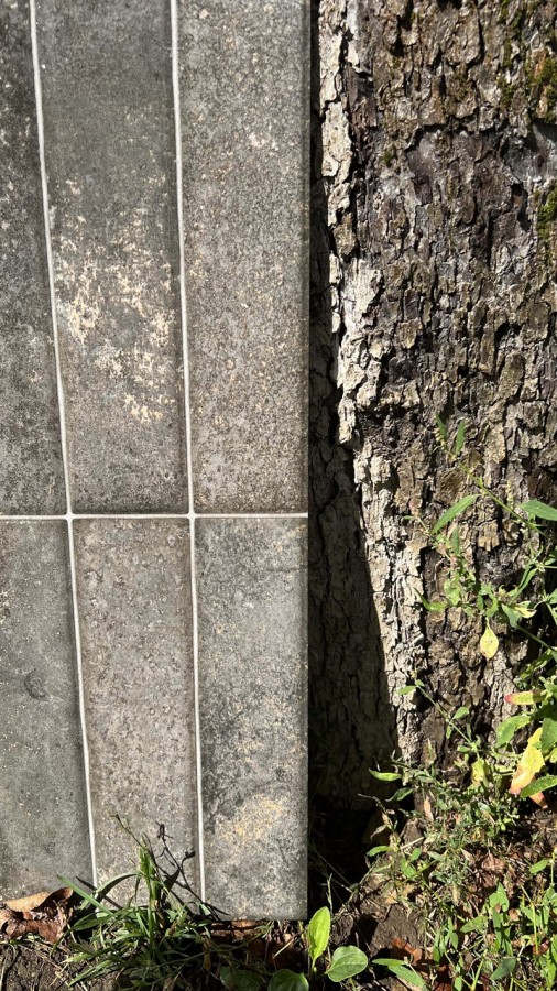 Плитка настенная 60x30 9мм Дрим серый глянцевая серый El Molino Плитка настенная 60x30 9мм Дрим серый глянцевая серый El Molino