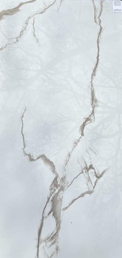 Плитка настенная 120x60 9мм Атенс полированный золотой карвинг полированная белый Realistik Плитка настенная 120x60 9мм Атенс полированный золотой карвинг полированная белый Realistik