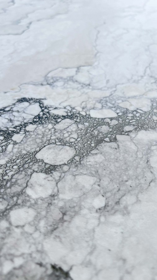 Плитка настенная 160x80 9мм Рок Пенгуин белый матовый карвинг матовая бежевый Realistik Плитка настенная 160x80 9мм Рок Пенгуин белый матовый карвинг матовая бежевый Realistik